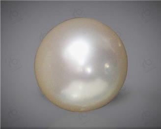  Pearl  (SS)  6.92CTS-45380